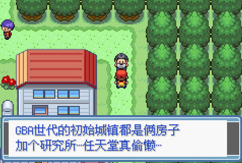 口袋妖怪永恒之焱
