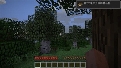 我的世界1.8.0.11