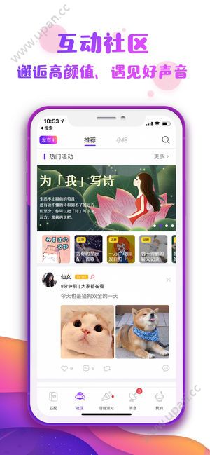 番薯小组