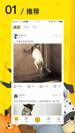 爱宠星球(爱宠网官方APP)
