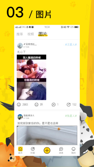 爱宠星球(爱宠网官方APP)