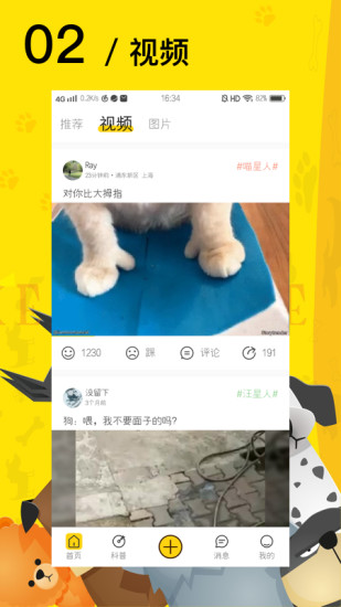 爱宠星球(爱宠网官方APP)