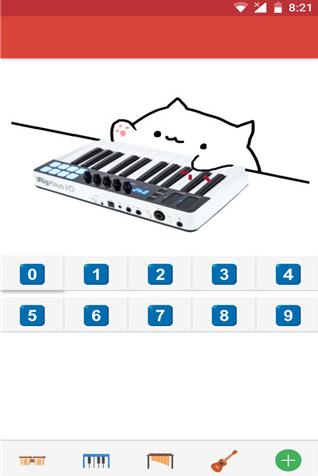 邦戈猫