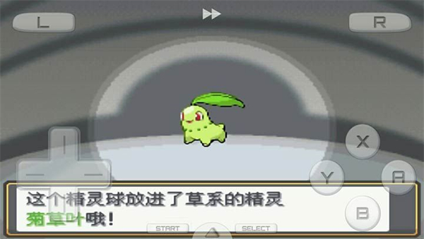 口袋妖怪白2