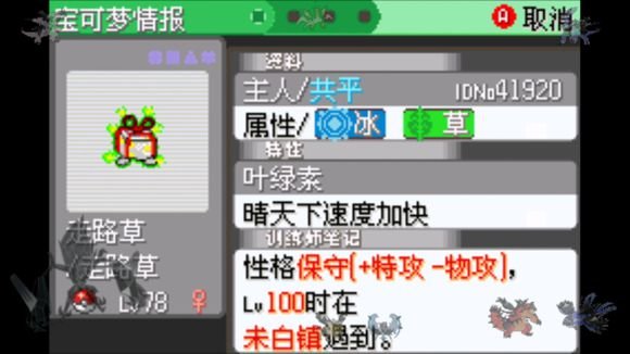 口袋妖怪:日月 宝石八木特别篇
