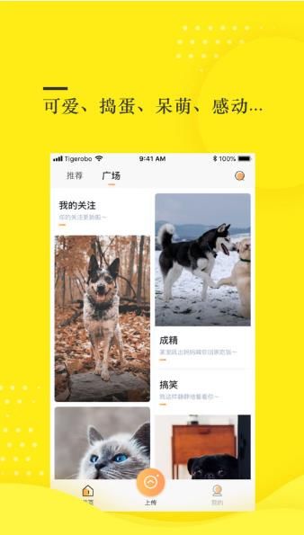 蛋挞视频