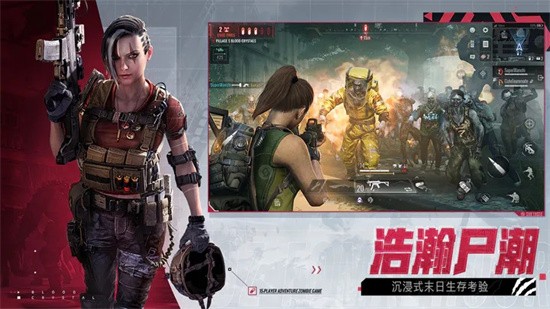 zoz最后一小时