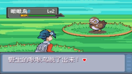 口袋妖怪:错乱时空
