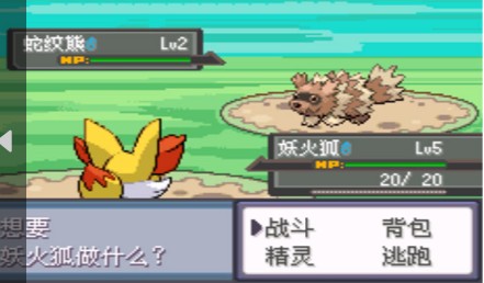 口袋妖怪:错乱时空