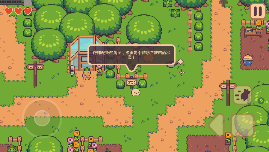 大头菜菜历险记