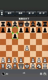 国际象棋
