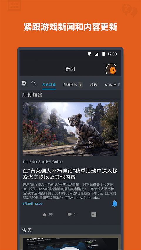 蒸汽平台