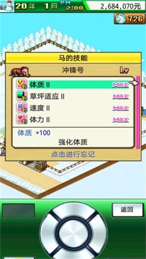 顶级跑马牧场